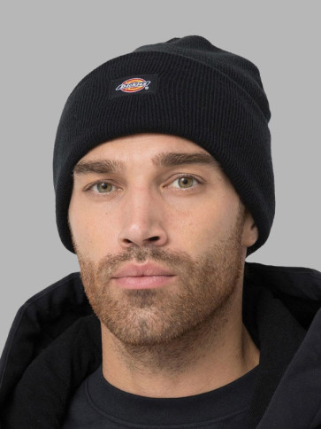 Dickies Acrylic Cuffed Logo Beanie Hat