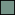 Cactus Green