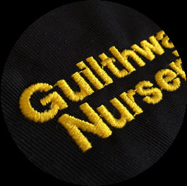 Embroidered Text